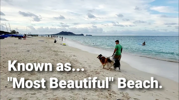 Hawaii | Lanikai Beach | Most beautiful beach |  Walking Tour | Relaxing Wave Sound