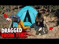 These 3 campers were eaten alive by bear inside their tent