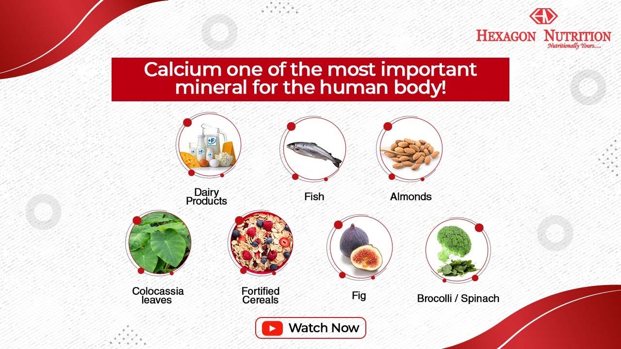 Calcium One Of The Most Important Mineral For The Human Body Youtube