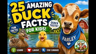 🦆 25 AMAZING Duck Facts for Kids! 🤯 | Fun Farm Animals for Kids