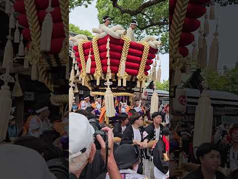 宮入り1番の、赤畑ふとん太鼓【ふとん太鼓 2024】百舌鳥八幡宮 月見祭り/ Futon drum