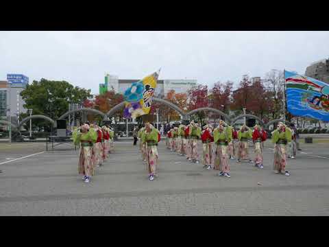 30 よさこい あっぱれ 四日市よさこい祭2019 市民公園会場 寄り