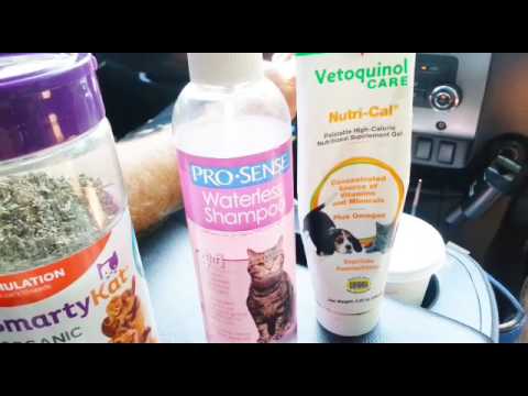 makeup artist ASI VIAJO CON MI GATICA EN CARRO 😾🐈🐱