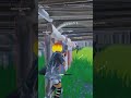 #fortnite #gaming #fortniteclips #funny #chapter4