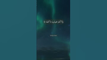 سورة الكافرون من القارئ صلاح بو خاطر برواية حفص عن عاصم - مرتل