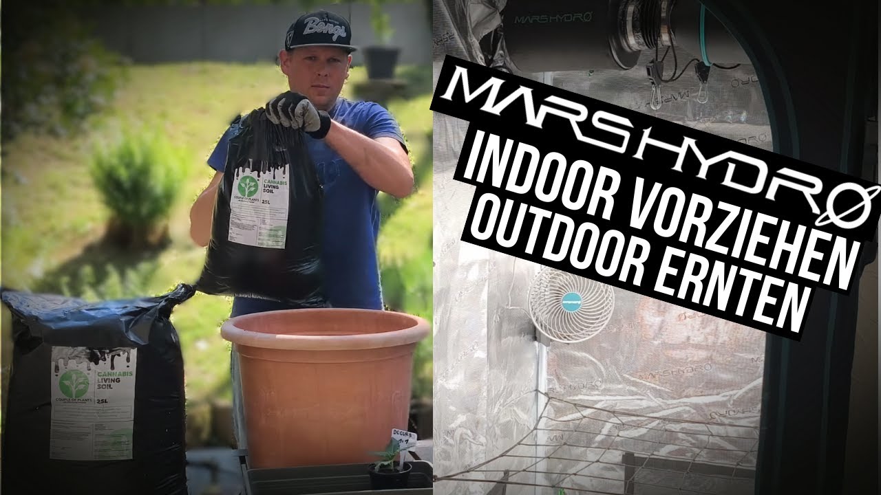 Vorzucht im Mars Hydro FC-E1500 Set + Living Soil von Couple of Plants