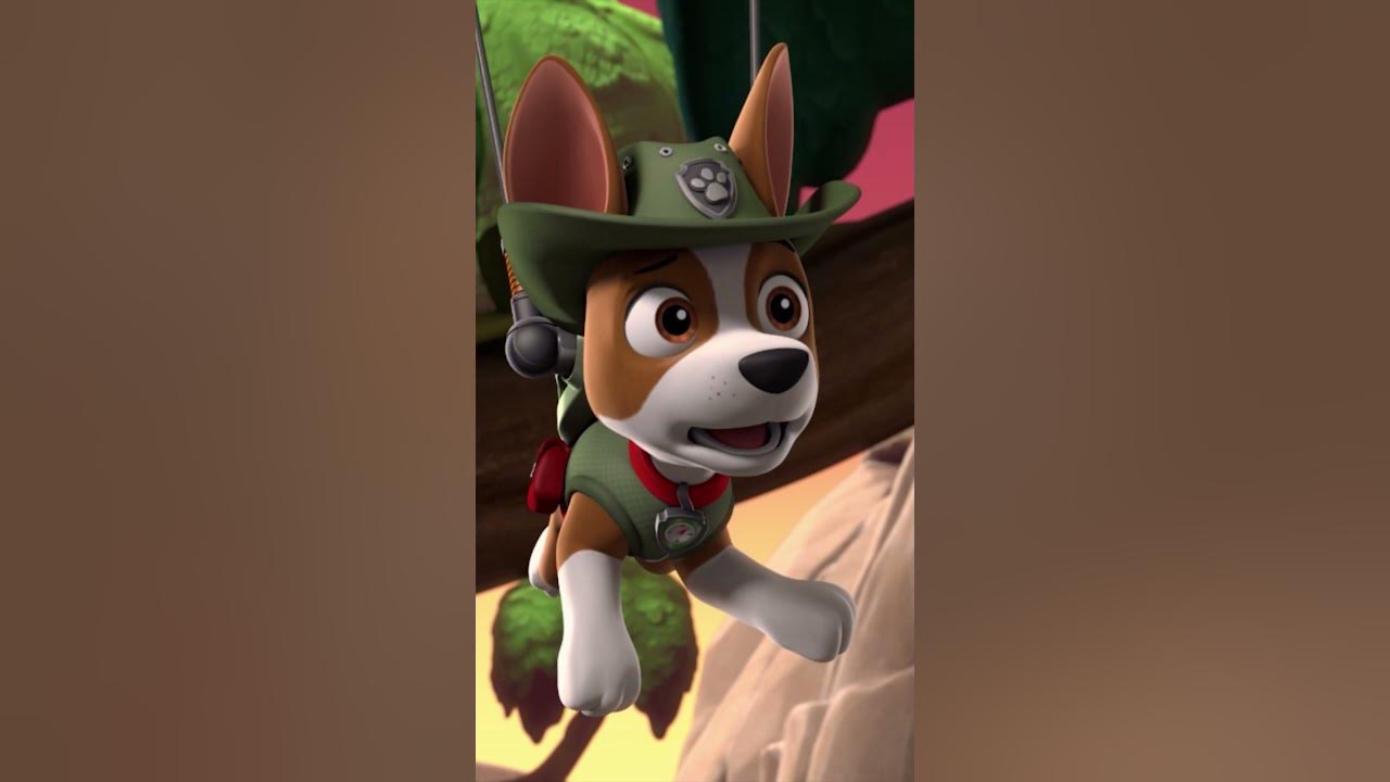 PAW Patrol, Tracker se uno a los cachorros de PAW Patrol 🐶