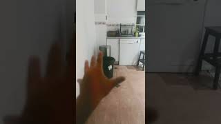 #noclip #floppa  #amnewbutnottheleast  #fatasisicilityoniclickaratuytriototsiani