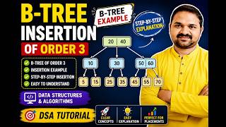 B-Tree Insertion of Order 3 in Telugu || B-Tree Example || Data Structures & Algorithms || DSA