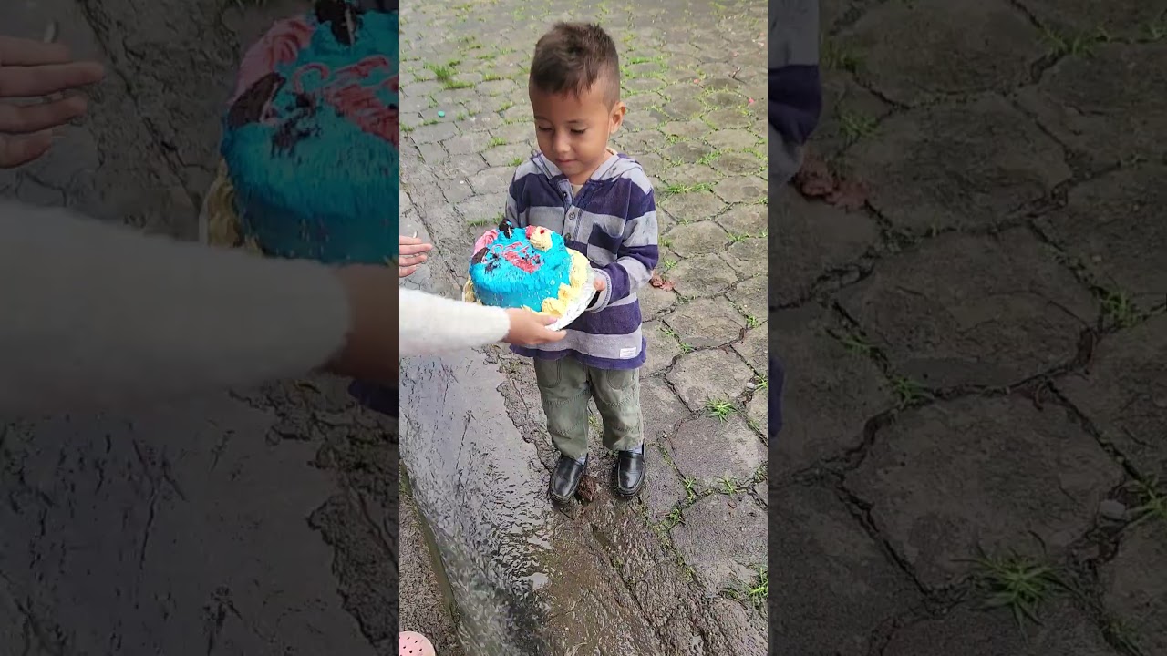 Boy Drops Birthday Cake, Surprise Ends