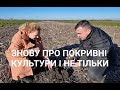 Про покривні культури і не тільки
