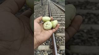 Train 🚂 vs Jamrul 🤤🤤 What 😱 happened next....?