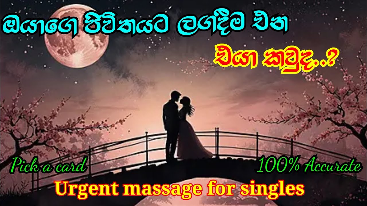 ඔයාගෙ ජීවිතයට එන එයා කවුද..?(Angel massage for singles) Sinhala tarot reading 