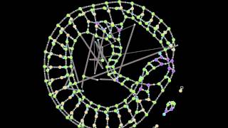 Topological morphing in the "Answer to the madness is 81"