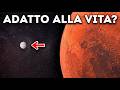 Cerere Non È Come Pensavamo — Ecco Cosa Ha Scoperto la NASA