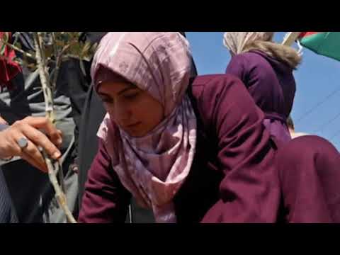 شدو بعضكم يا أهل فلسطين حليمة السلواني الصوت فقط إنتقاء باي بكاي