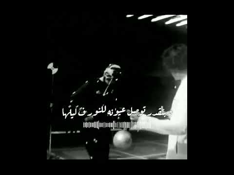 امسك في حلمك اصالة