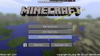 Minecraft Null Efsanesi Çözüldü
