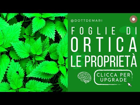 Video: Cibo vegetale con foglie di ortica - Scopri i nutrienti nel fertilizzante di ortica