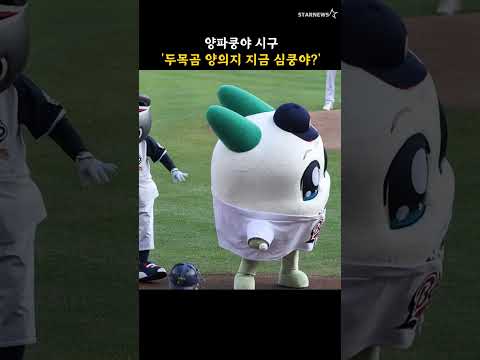 양파쿵야 시구 '두목곰 양의지 지금 심쿵야?'
