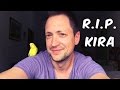 My budgie Kira's last days