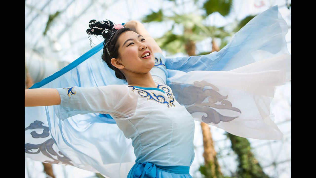 The Chinese Fine Arts Society - YouTube