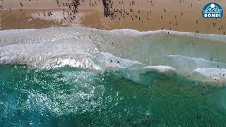 Black Sunday Re-Enactment - Surf Life Saving - Mass Rescue