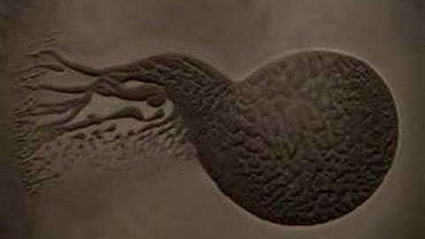 magnetic vortex rotation