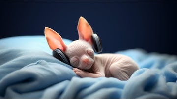 Music Video With Cats and Kittens with Stable Diffusion Ai Images another Ai Character Example