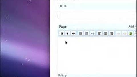 WordPress 30 Second Tutorial: Write Page