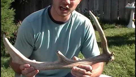 Flint Knapping With Traditional Aborigional Tools Part 1