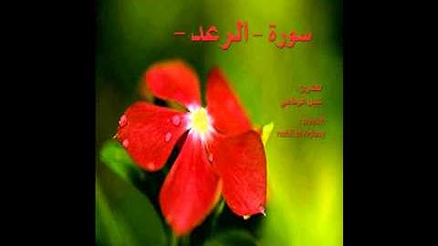 سورة الرعد | نبيل الرفاعي |