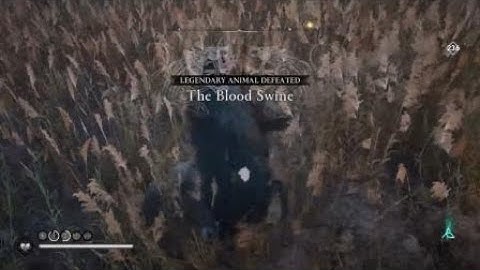 The Blood Swine - Aesir Nightmare Difficulty - Really? - AC Valhalla