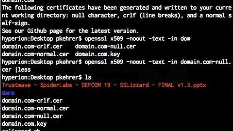 DEFCON 19: Getting SSLizzard