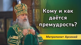 Проповедь митр. Арсения в день памяти прп. Сергия Радонежского 8.10.22 г.