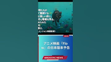 アニメ映画『Flow』の日本版本予告