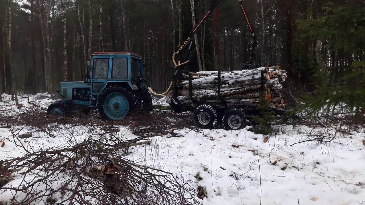 Tractor loading birch logs to trailer (issi the tractor master)