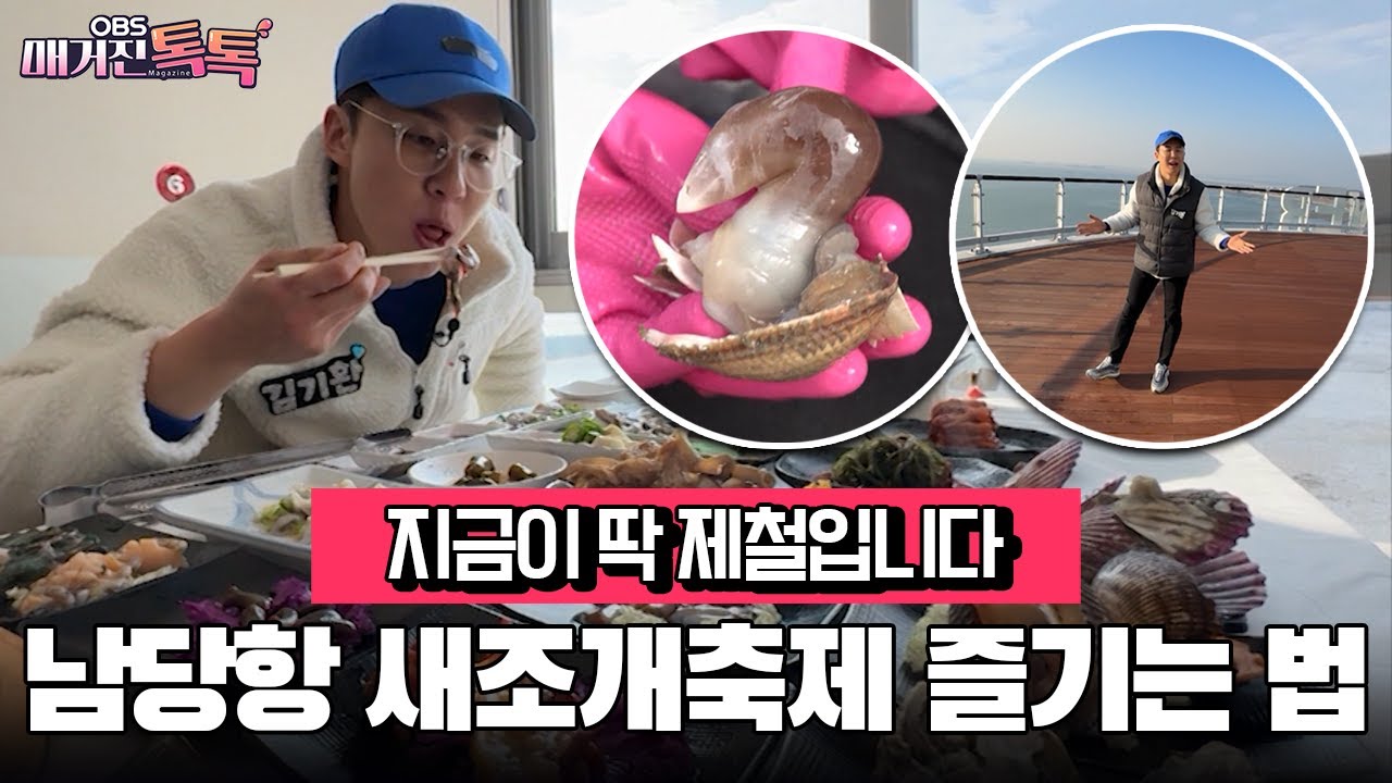 [매거진 톡톡] 지금이 딱 제철입니다…남당항 새조개축제 즐기는 법