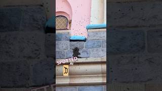 Disneyland Castle ATTACKED!