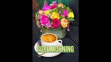 Good morning (गुड मॉर्निंग ) video #shorts #viralshorts #goodmorning #shortvideo #shortsfeed