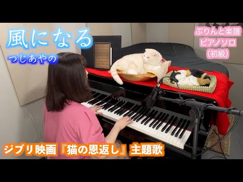 寝る前に１曲♪【風になる】つじあやの ぷりんと楽譜 ピアノソロ（初級）歌詞付き ジブリ映画「猫の恩返し」主題歌 #piano #猫とピアノ #懐メロ