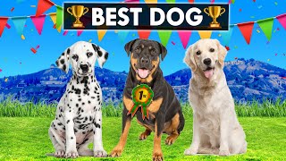 CHOP Won BEST DOG Competition in GTA 5 (Part 1)