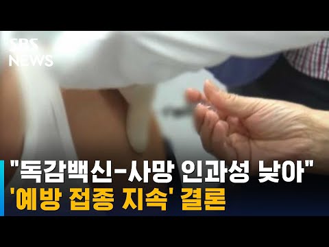 질병청 &amp;quot;<strong>독감백신</strong>-사망 인과성 낮아&amp;quot;…접종 지속 결론 / SBS
