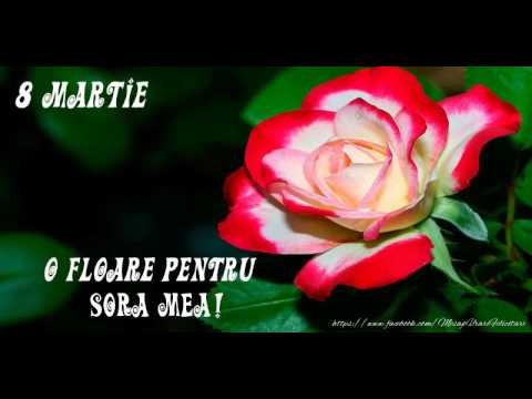 8 Martie - La multi ani, sora mea! - YouTube