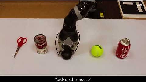 Natural Language Interaction with Robots