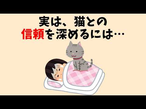 猫の簡単な雑学 #猫 #雑学 #豆知識 #聞き流し #ねこのサムネイル