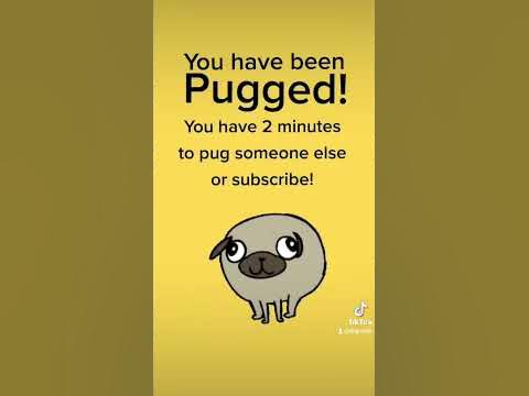 You have been PUGGED!🐶 #shorts #pug #pugs #meme #memes #fyp #foryou #fy ...