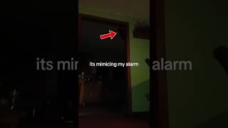 Famous His Alarm Went Off Early… What He Saw Next Was Terrifying 😨 #scary #shorts #viral #unusualthings Wealth