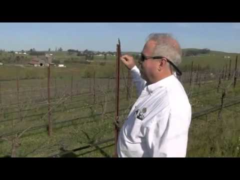 Clary Ranch Wines Episode 1