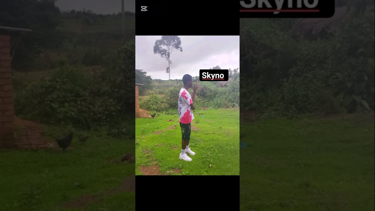 Skyno (feat) sodo Bee & chrisper